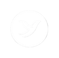 BRISA BRIMS logo